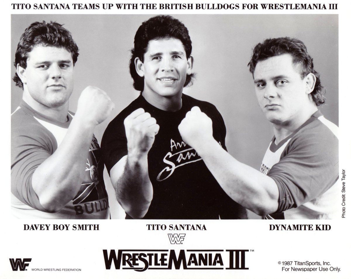 WWF Wrestling tweet media