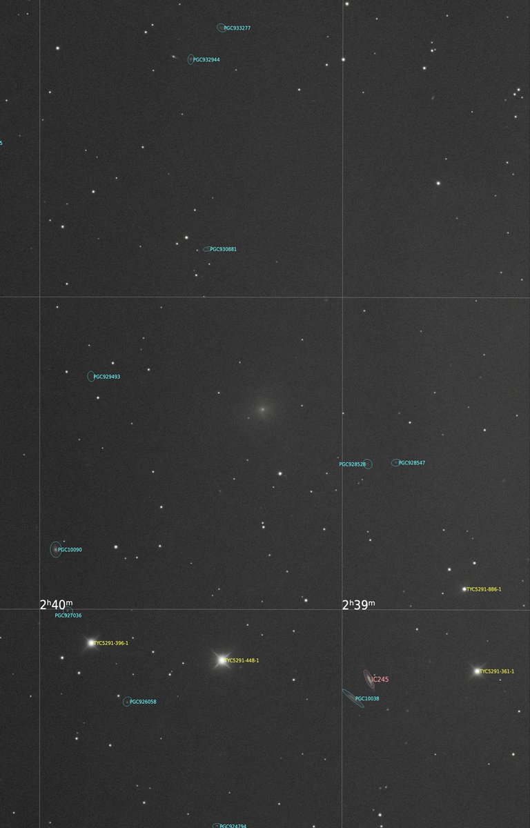 clavius's tweet image. 今日のC/2026 A1(マップ彗星).
12等ほどまで明るくなってきて、26cm,F5の2分露光でもはっきり.
歴史に残るサングレイザーになって欲しい.

#C2026A1 #MAPS #マップ彗星