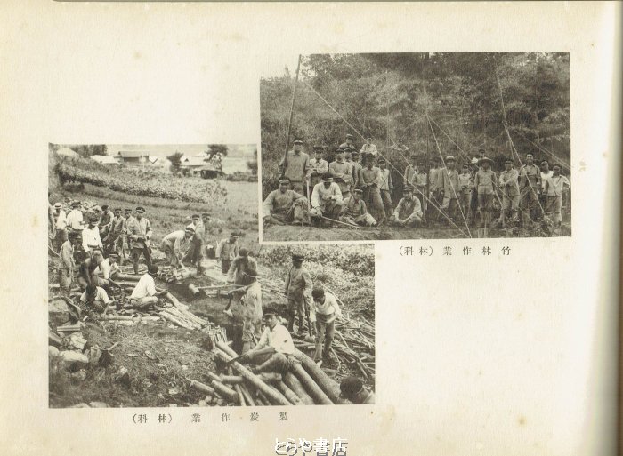 とらや書店 tweet media