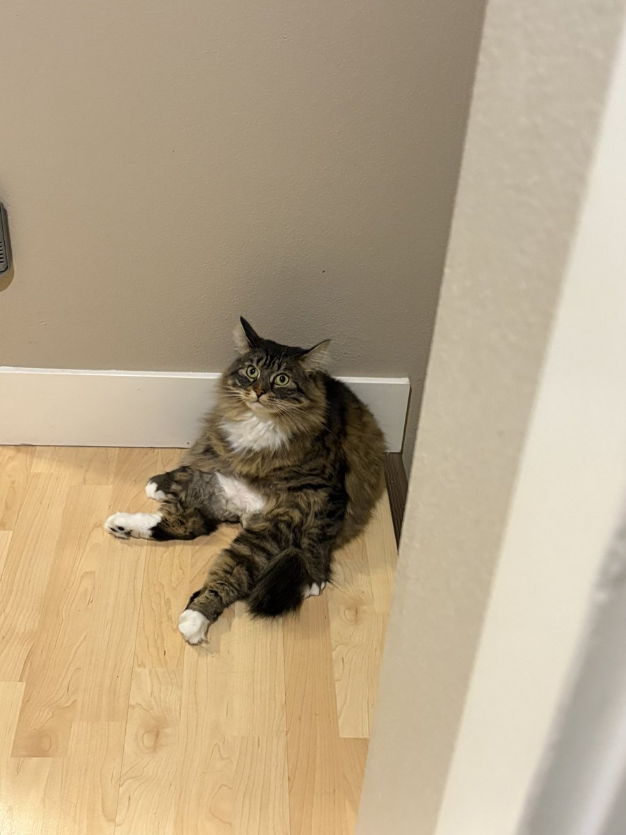 carly ᛪ༙ #1 CHEERARDER tweet media