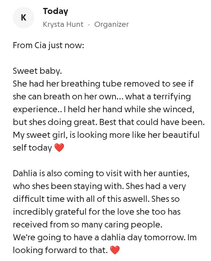Maya is breathing on her own!

Praise God!

If you are of faith, please keep Maya in your prayers 🙏

Lord, You are great above all things. If it is Your will, please carry Maya safely through this terrible calamity. Let her life be a lantern that reveals Your glory, power and