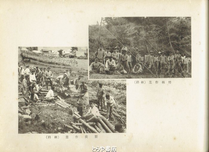 とらや書店 tweet media