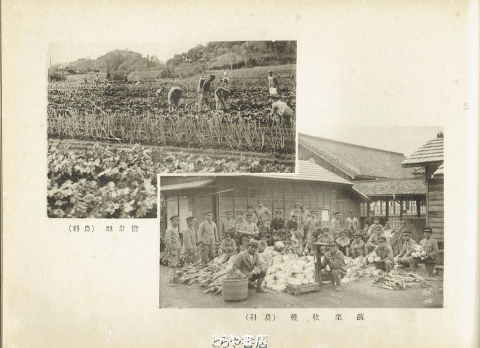 とらや書店 tweet media