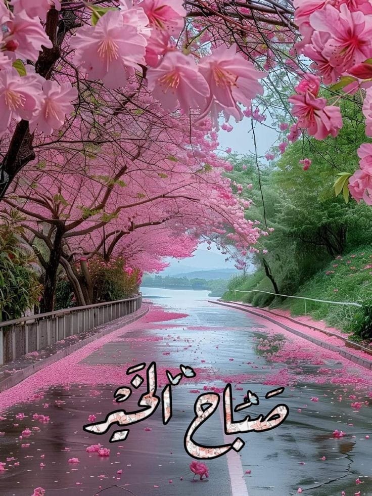 Nadia Srh tweet media