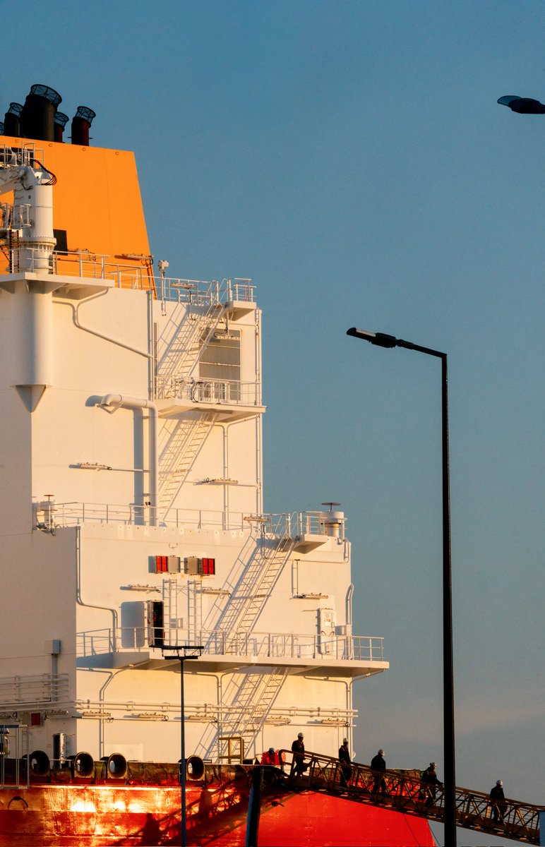 Breizhhollgaret tweet media