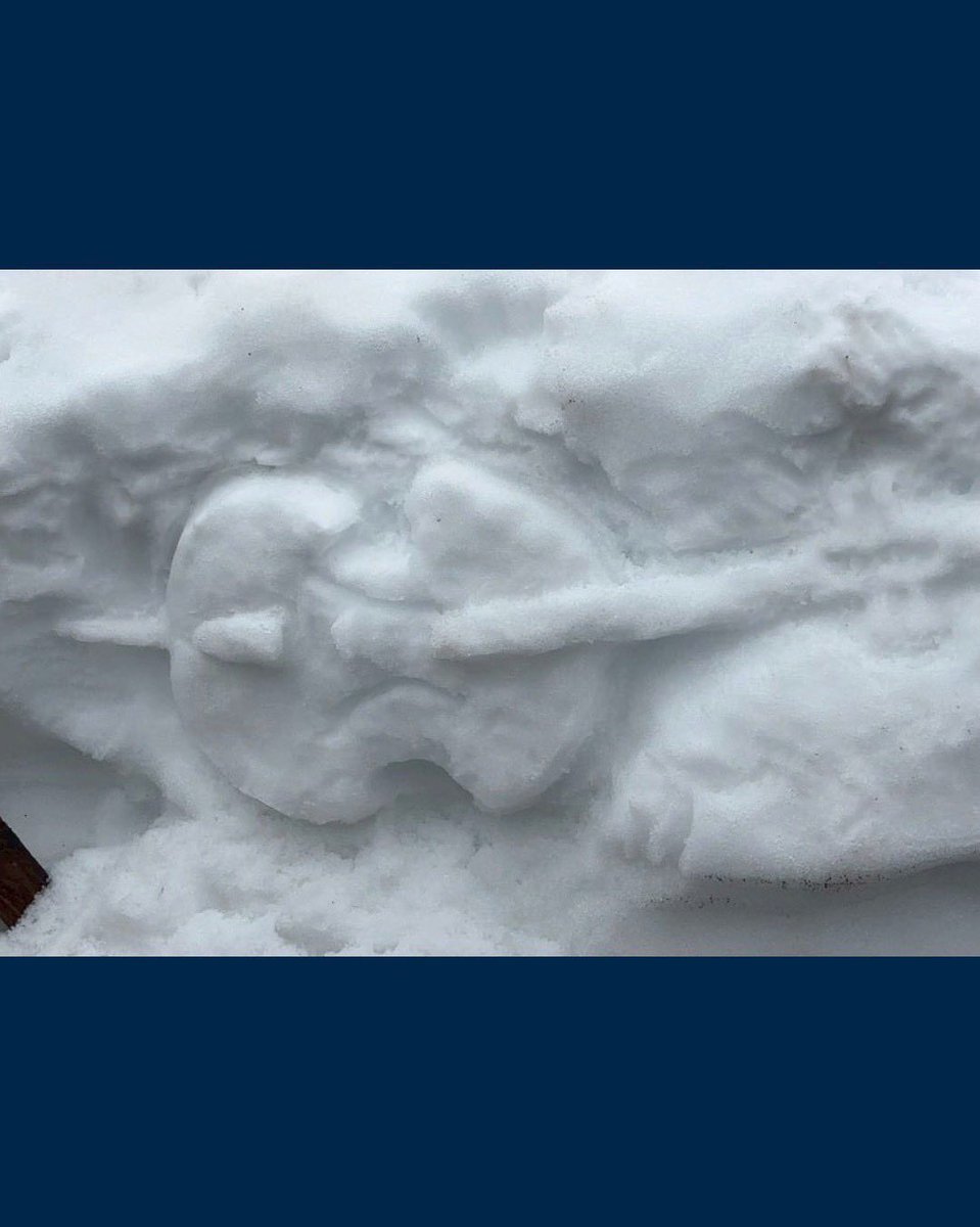 横浜国立大学管弦楽団 tweet media