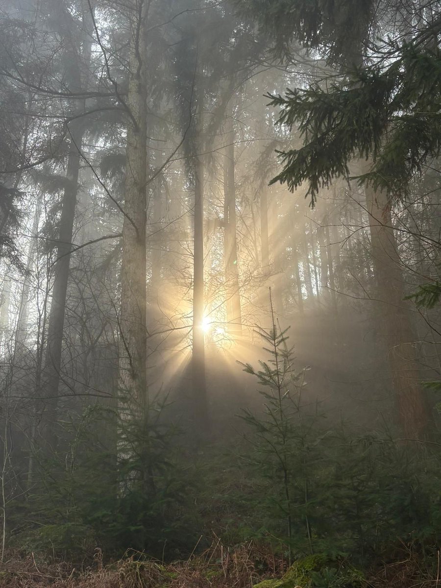 Climbing Out tweet media