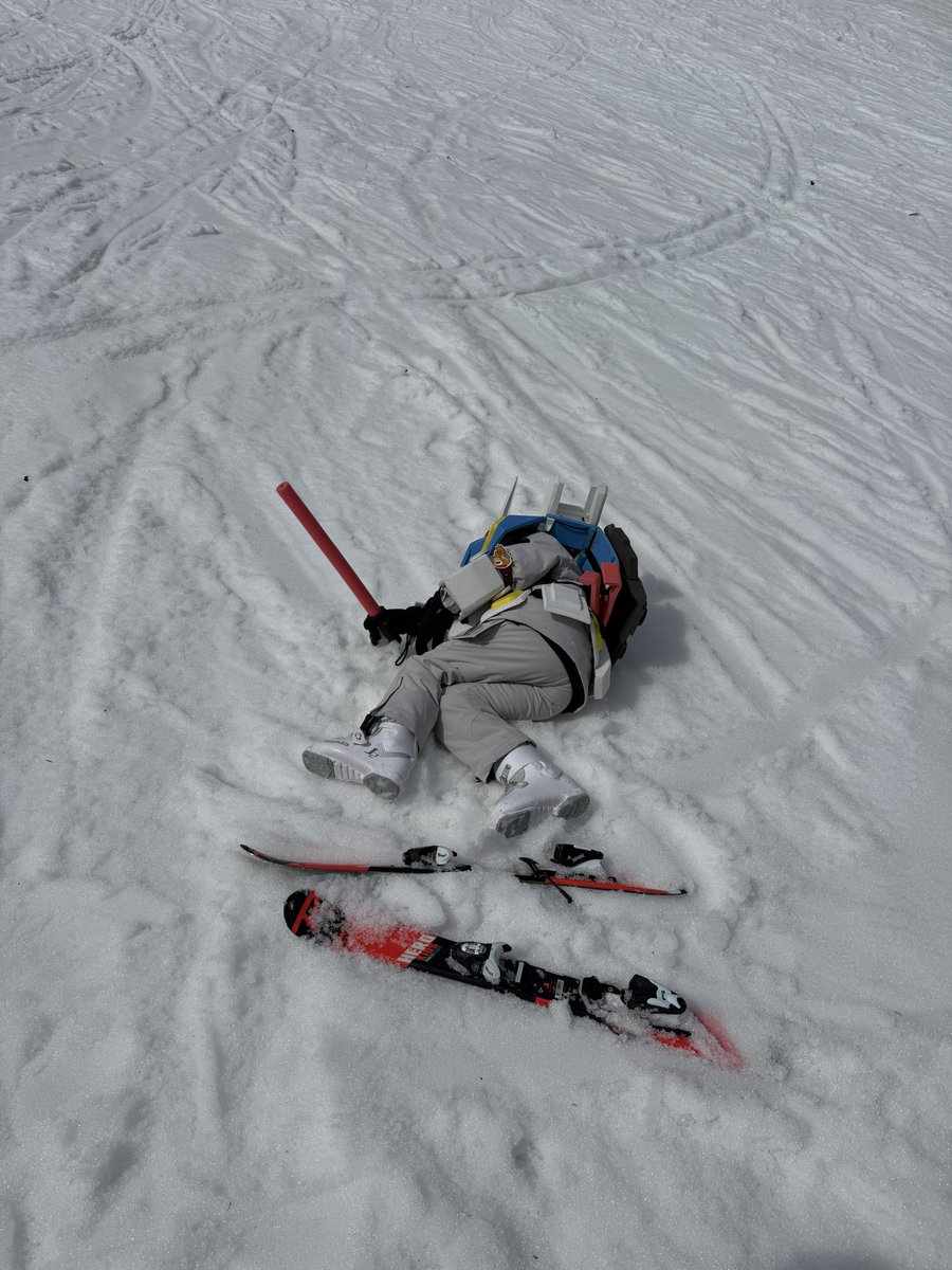 白飯生活🍚 tweet media