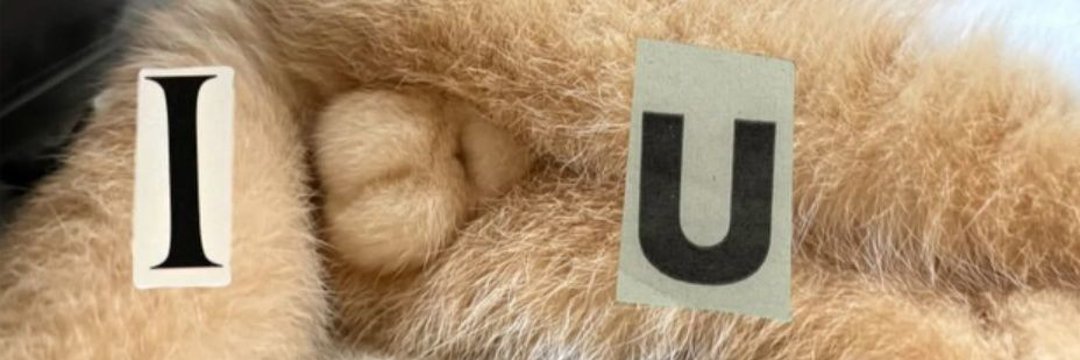 Hi P’Fah 🫶 Every time I see something like this, BOOM — you pop into my head immediately 😂 I don’t know why, but it always reminds me of you!
Have an amazing Saturday na ka! Love you 😘🤟✨

ALLAROUND SENSATION ENGFA07
#อิงฟ้ามหาชน #อิงฟ้าวราหะ 
#EngfaWaraha <a href="/EWaraha/">Engfa Waraha (ตัวจริง)</a>