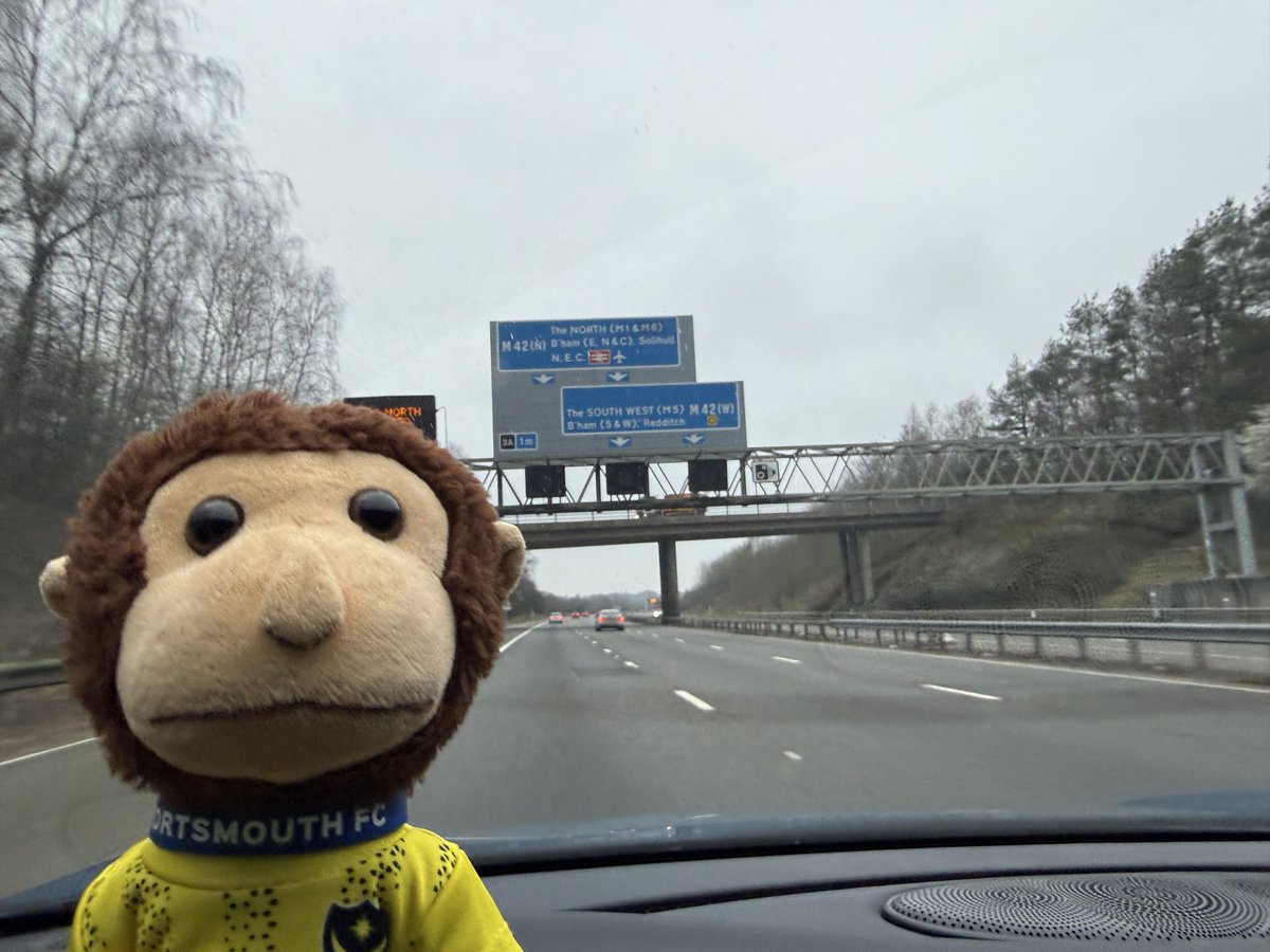 Gibraltar Monkey Pompey Fan tweet media