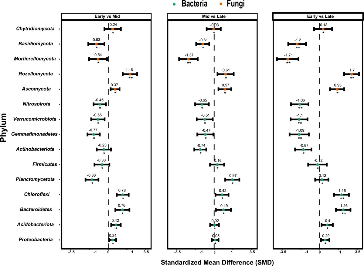 Osbert Sun tweet media