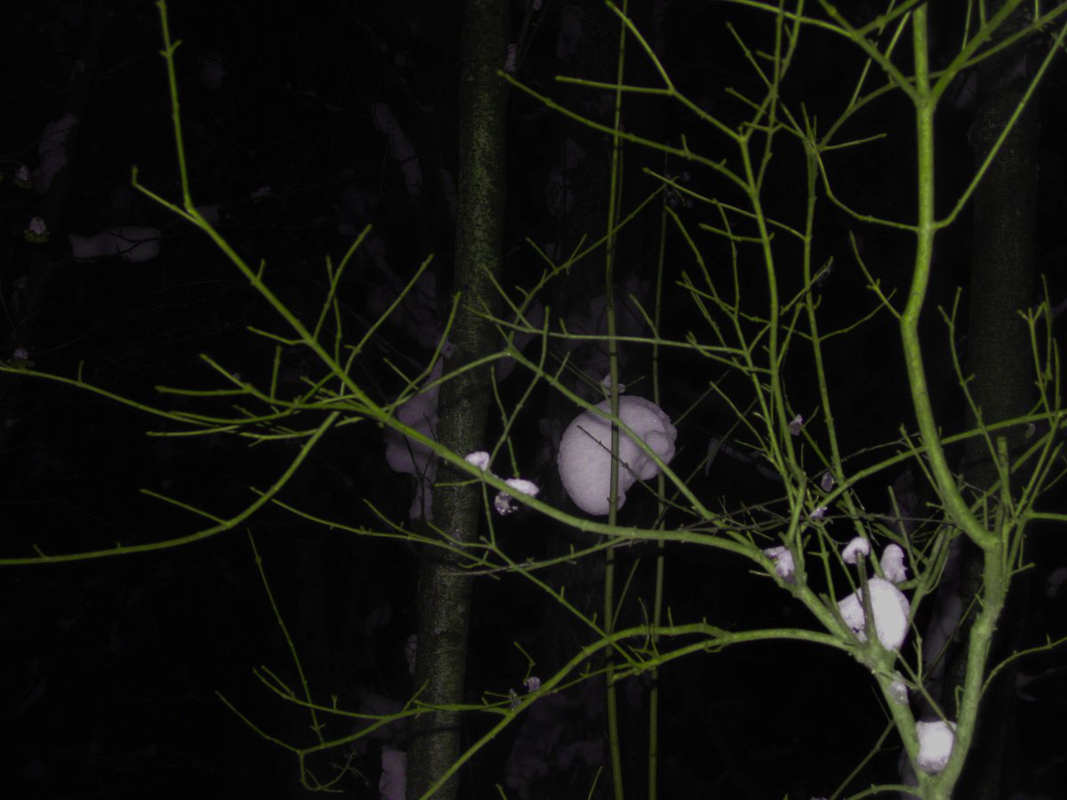 borz0ke's tweet photo. GreenVioletForest #2
See full collection on pinterest again haha ^^: https://t.co/3BdzTlrB53
˚ ༘ ೀ⋆｡˚
#photo #darkcore #dreamcore #y2k https://t.co/T26OVoZQ0j