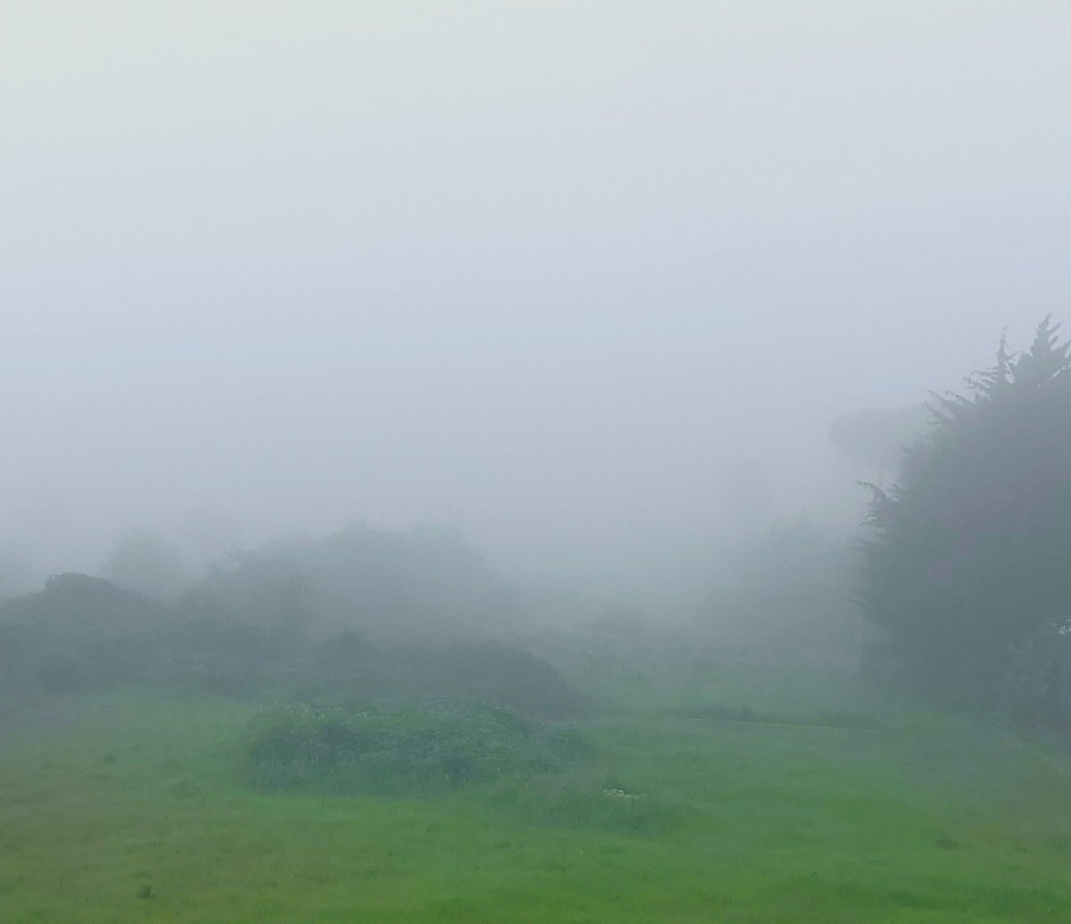 Stefano 🅖 tweet media