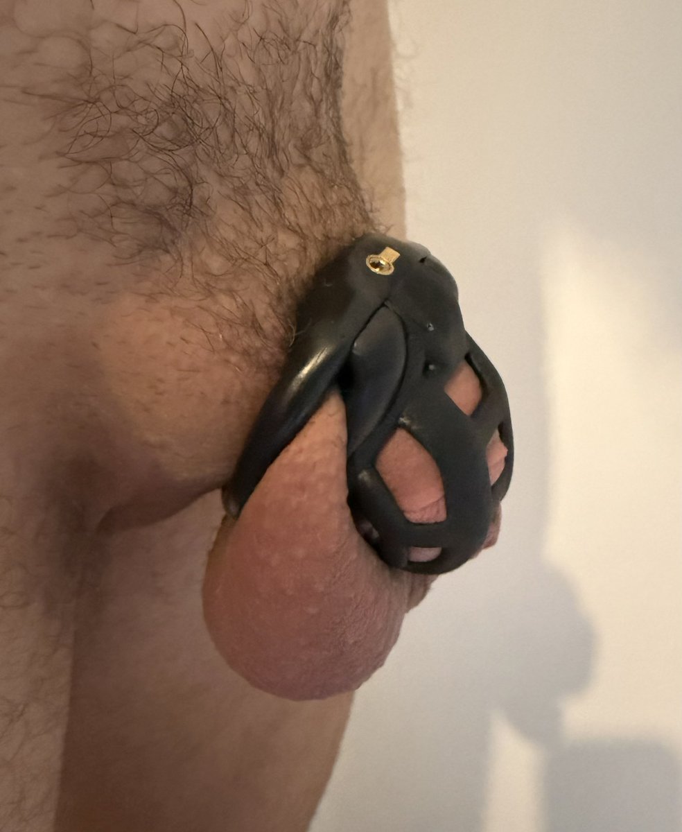 chastity cuckold tweet media