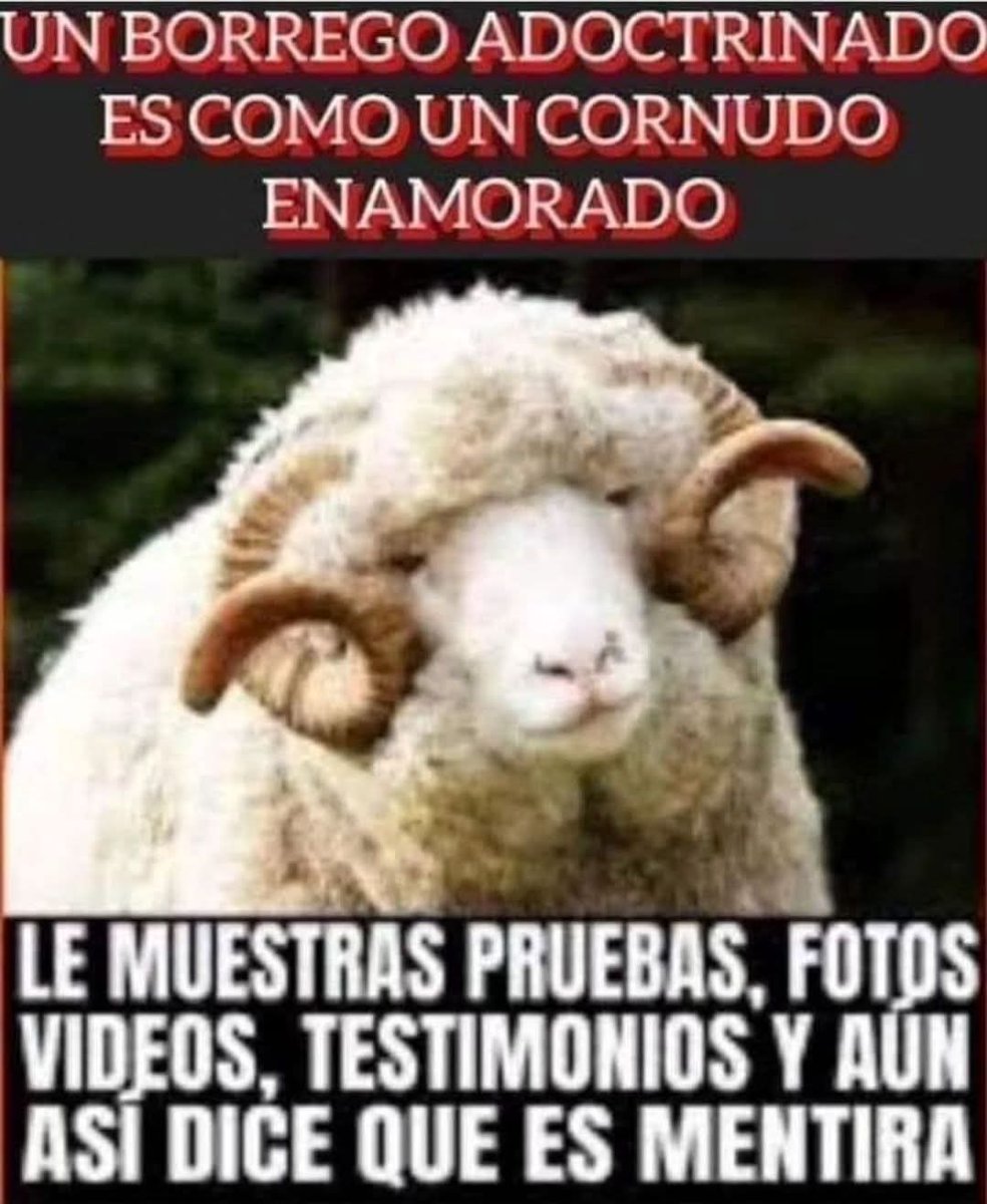 Algún problfmitaaaaa?,,,