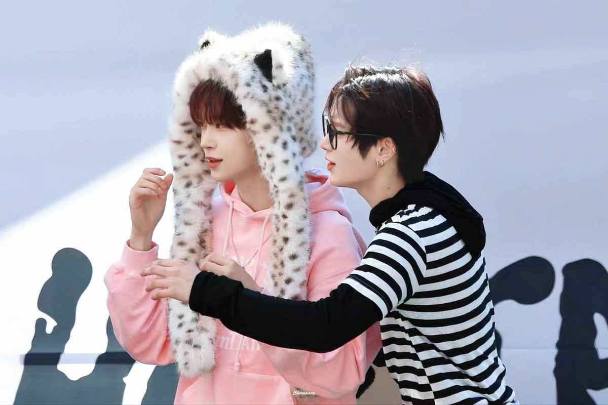 Chocppang tweet media