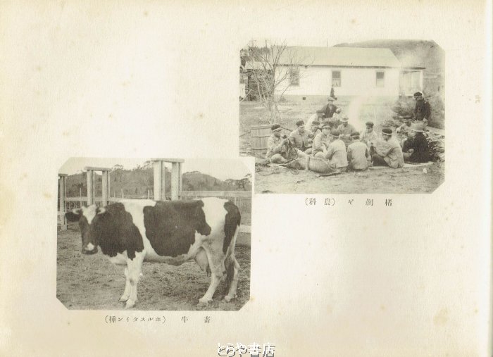 とらや書店 tweet media