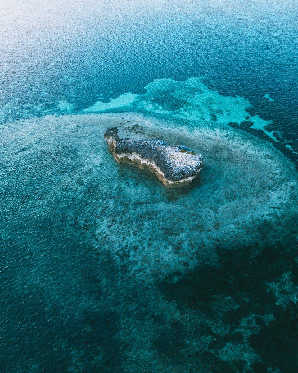 Onchomba Makori tweet media