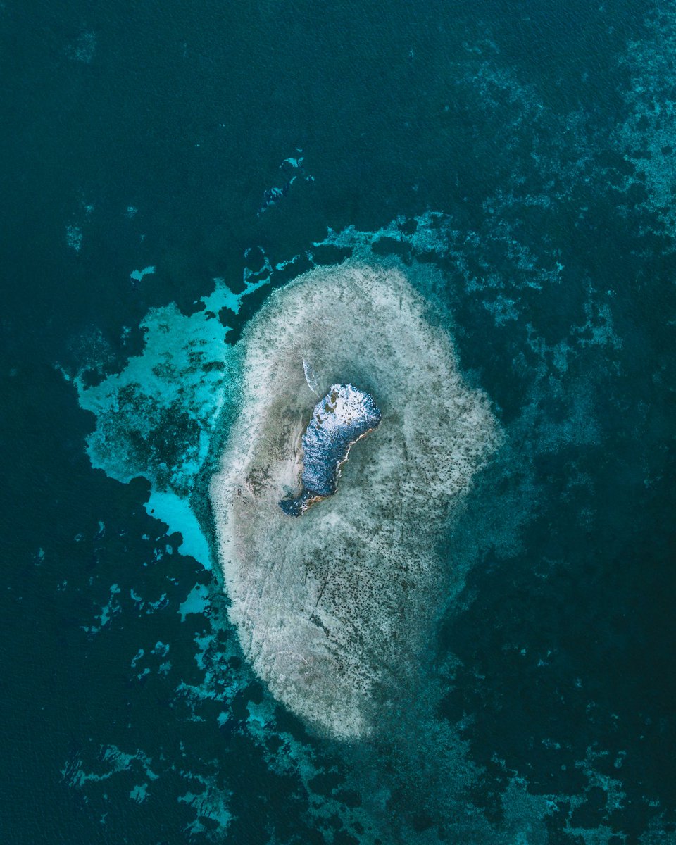 Onchomba Makori tweet media