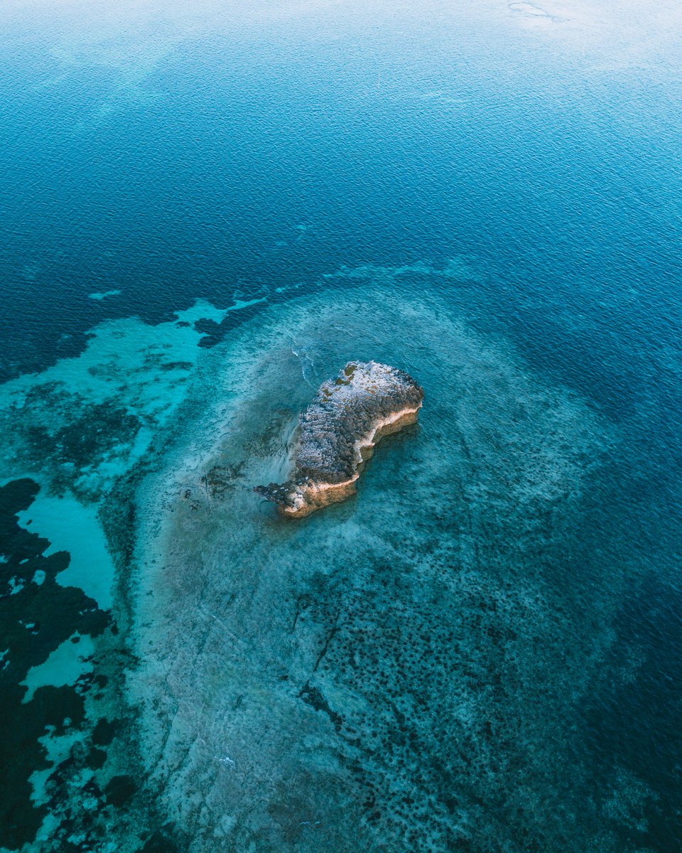 Onchomba Makori tweet media