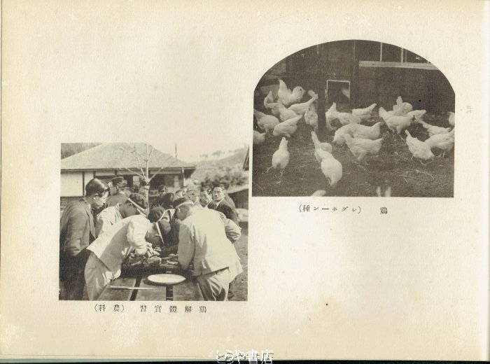 とらや書店 tweet media