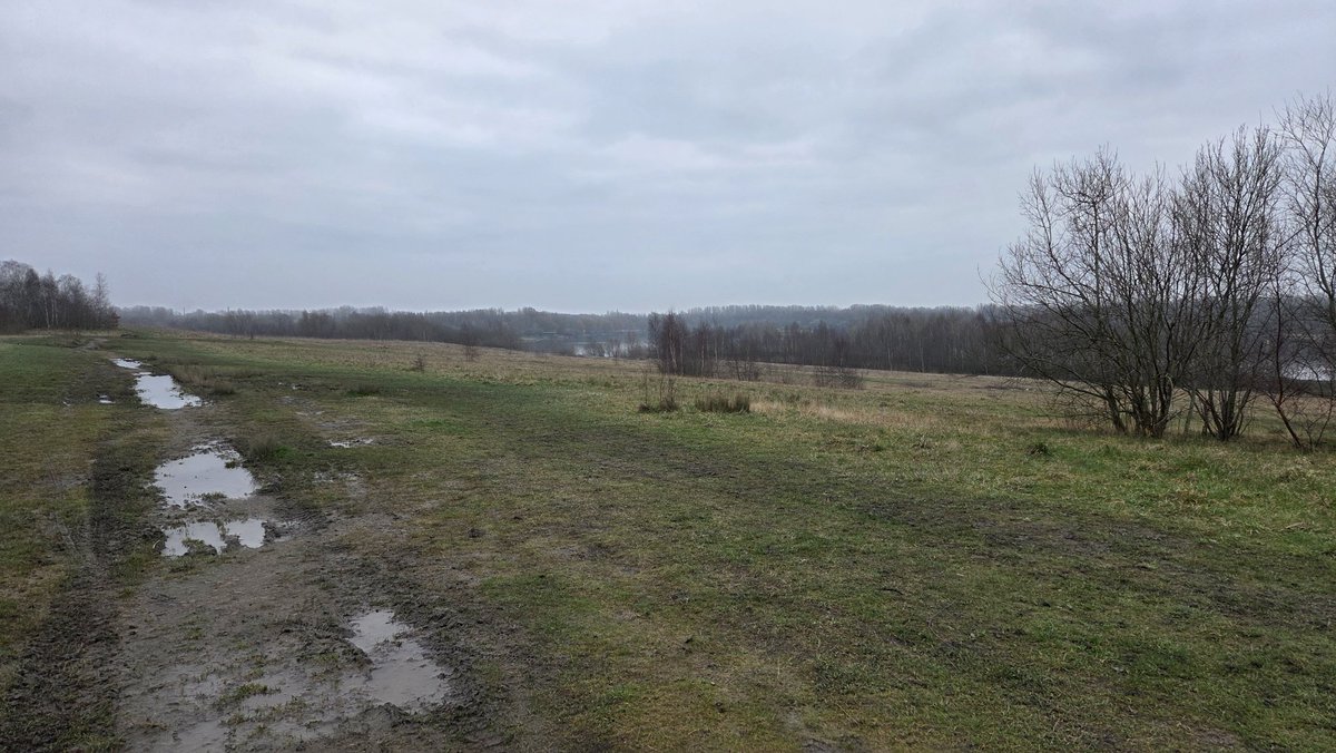 PenFlashparkrun tweet media