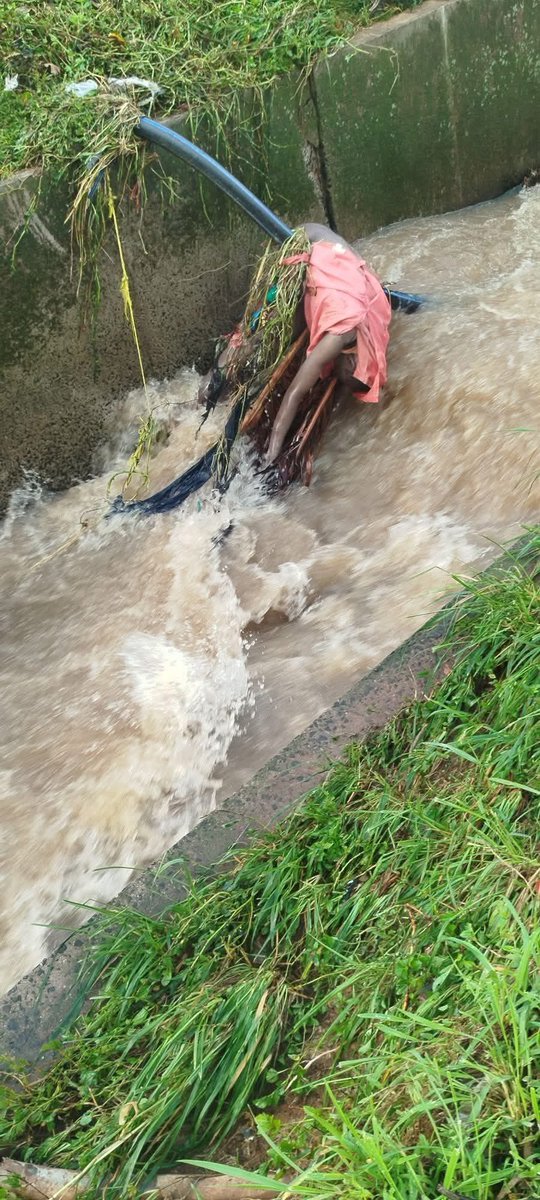 Sir. BOLO tweet media