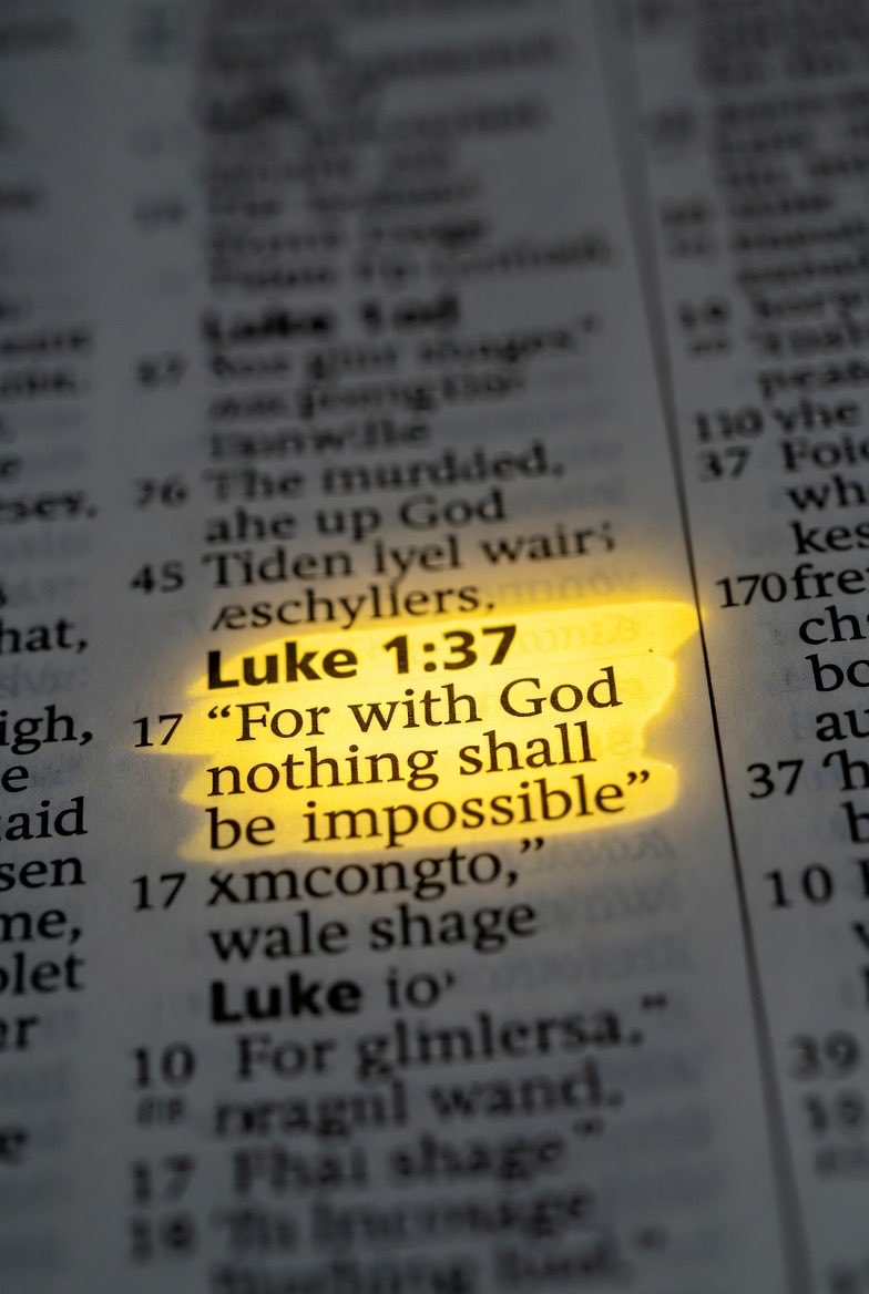 Sword⚔️&Torch🔦of God🤺🛡️📖🩺🏥 tweet media