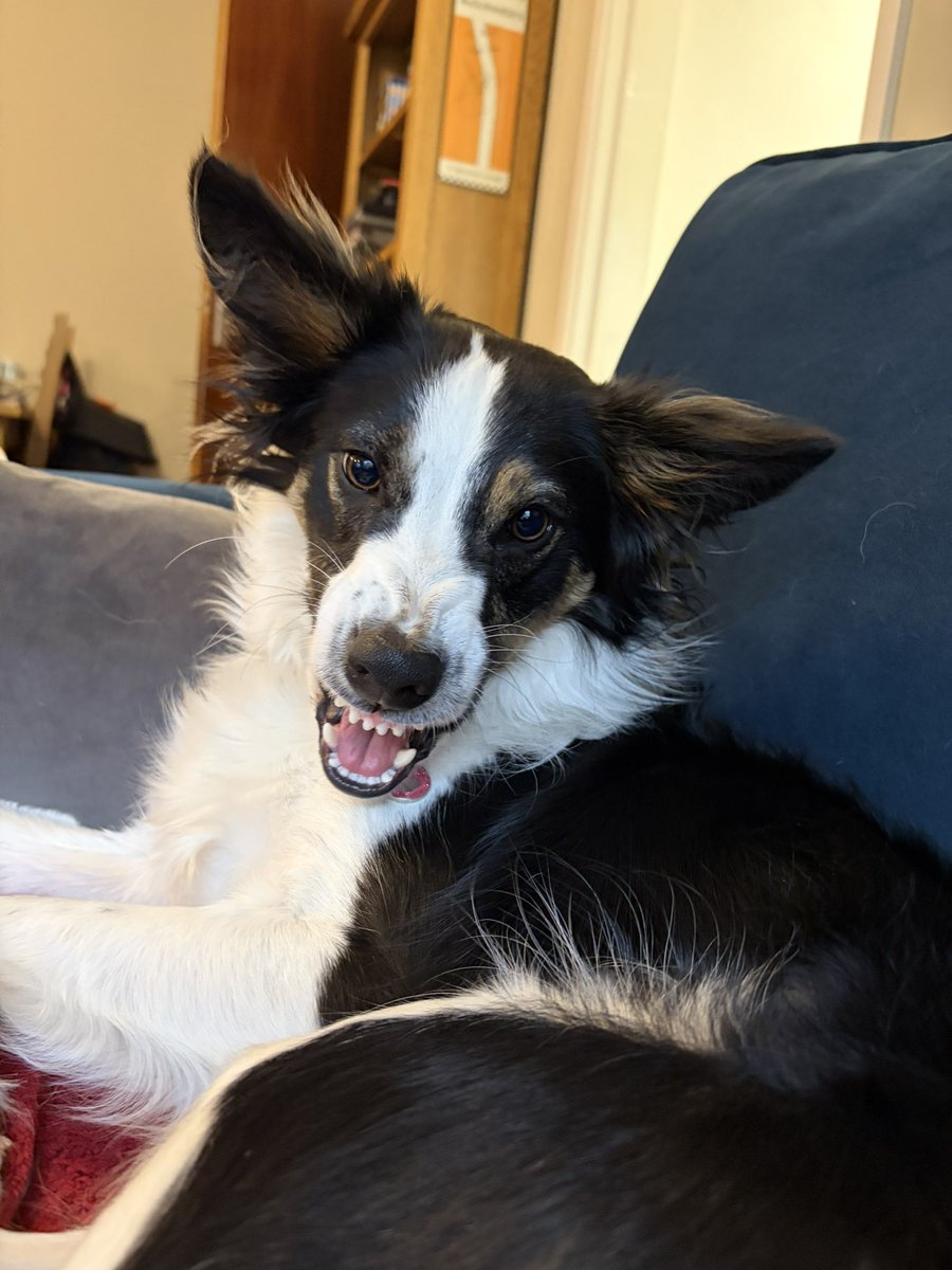 ☠️ Matt 👾 tweet media