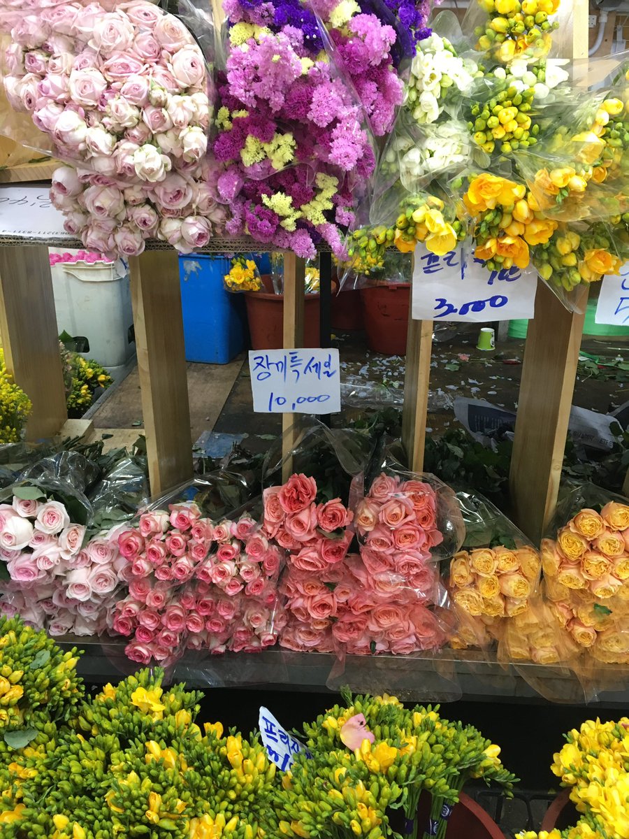 1ovelog's tweet photo. 남대문꽃시장
고터에 비하면 진입장벽 최하
낮에도 영업하고 저렴해서 너무너무 좋았음
단 사람 많음! https://t.co/RLIWl5Xzh4