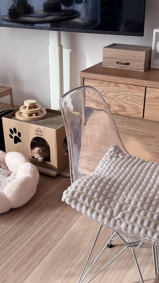 AmamiyaMaako tweet media