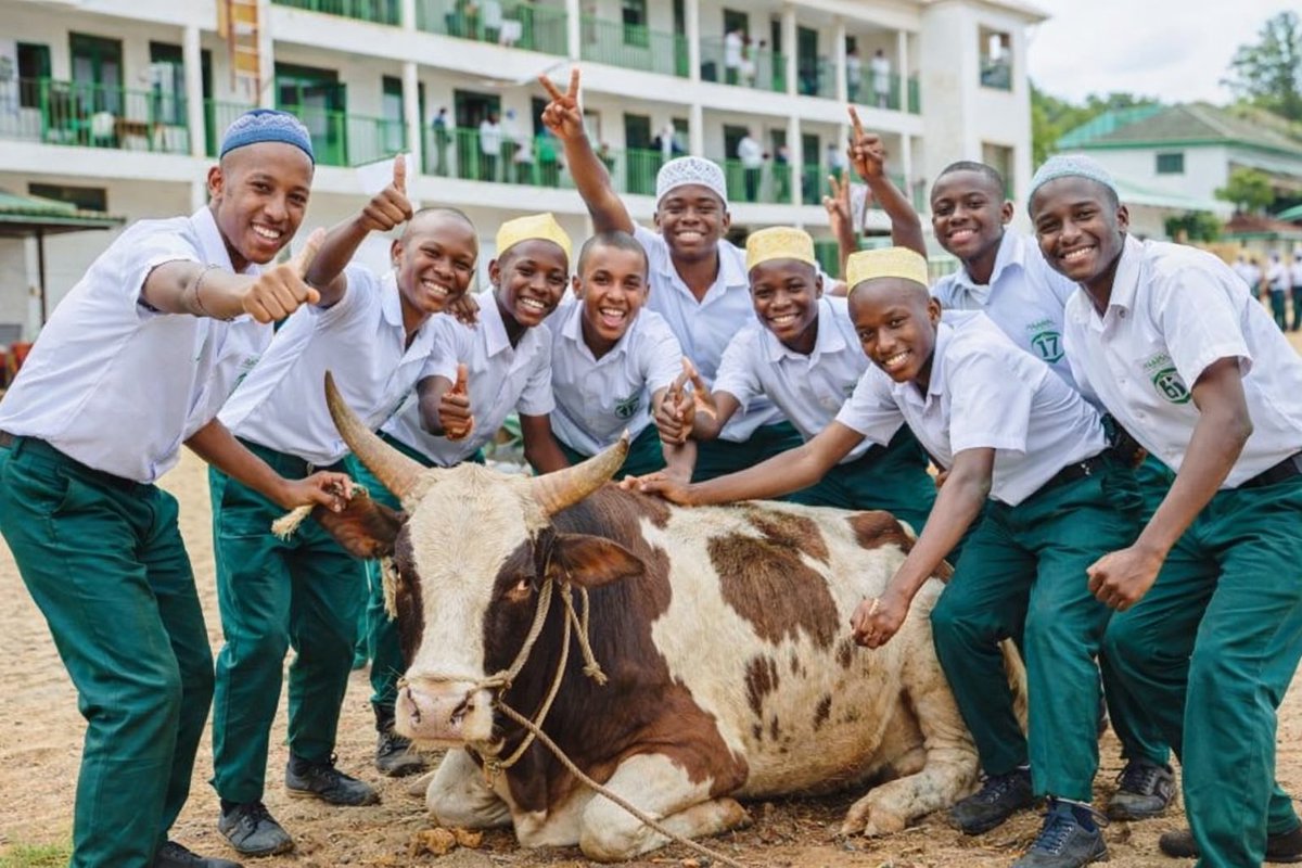 Alhamdulillah! Huge congratulations to our 100 Theology candidates at Greenlight Islamic School – Nansana!

Results:
🥇 46 First Grade (ممتاز)
🥈 48 Second Grade (جيد جداً)
🥉 6 Third Grade (جيد)

With this amazing achievement we celebrated with a cow for the whole school.