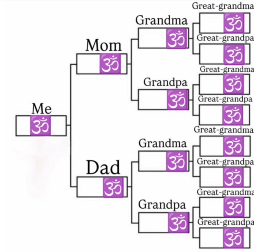 Grateful To My Ancestors Who Didn't Convert &amp; Blessed Me With The Chance To Be A Proud Unapologetic Hindu🙏🏼🚩