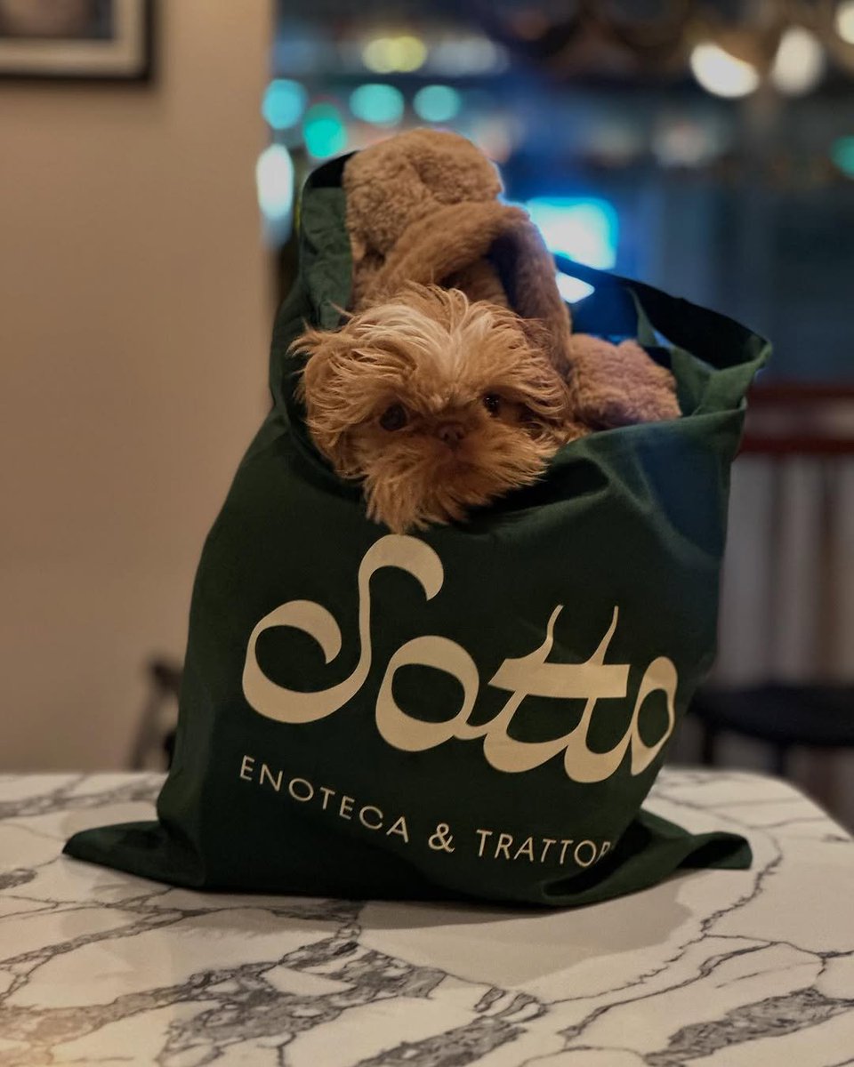 The Good Food Guide tweet media