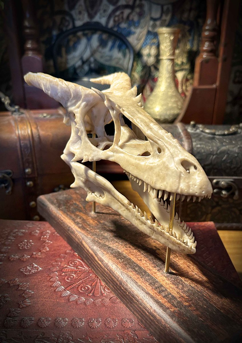 A dragon skull, discovered deep within forgotten caverns.

Handcrafted. Mounted on dark wood. 125 pounds.

20 days until Old World Magic opens. oldworldmagic.com

#OldWorldMagic #DragonSkull #FantasyCollectibles #MagicalArtefacts #HandmadeUK #Potterhead #FantasyDecor