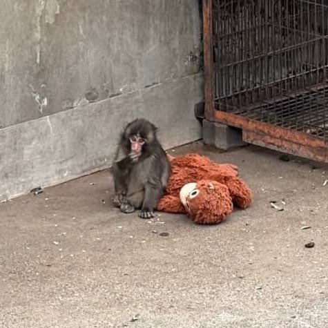 folkative tweet media