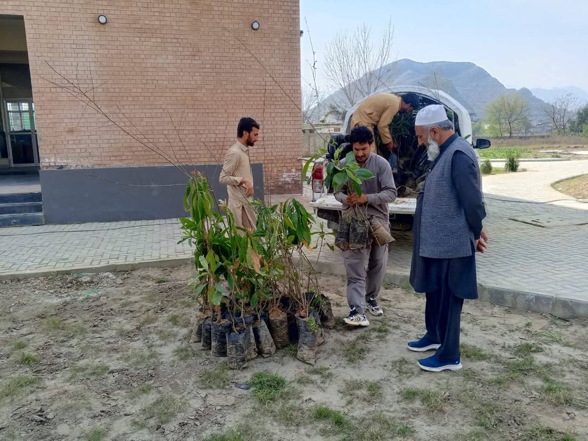 UOBofficial1's tweet photo. یونیورسٹی آف بونیر میں گرین کیمپس کے فروغ کے لیے Buner Forest Division اور RFO گگرا فاریسٹ رینج کی جانب سے پودے فراہم کیے گئے۔ وائس چانسلر نے ماحولیاتی تحفظ اور شجرکاری مہم میں تعاون پر شکریہ ادا کیا۔ 🌱🌳

#UniversityOfBuner #GreenCampus #TreePlantation #Buner https://t.co/6QVORuLLNY