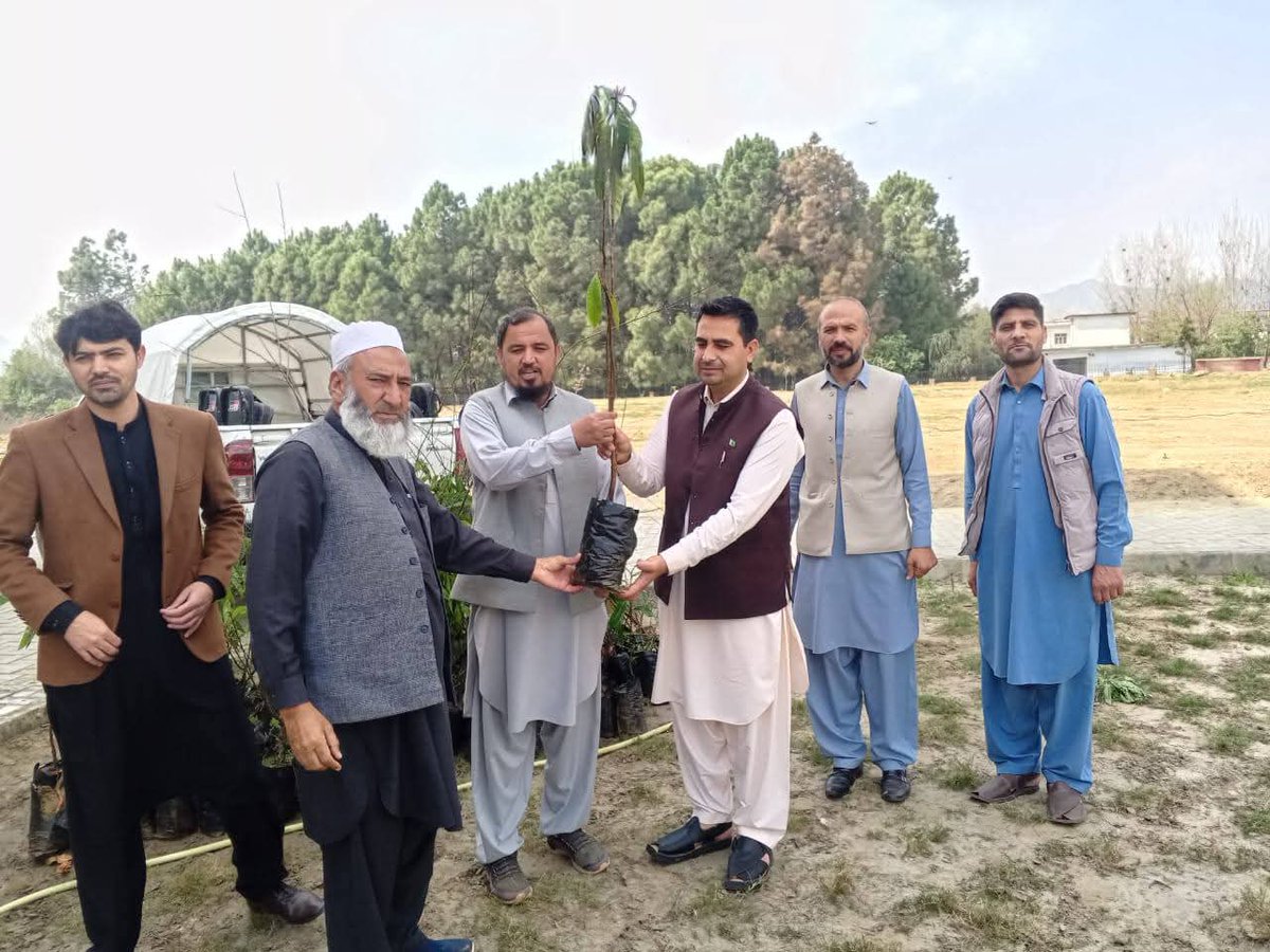 UOBofficial1's tweet photo. یونیورسٹی آف بونیر میں گرین کیمپس کے فروغ کے لیے Buner Forest Division اور RFO گگرا فاریسٹ رینج کی جانب سے پودے فراہم کیے گئے۔ وائس چانسلر نے ماحولیاتی تحفظ اور شجرکاری مہم میں تعاون پر شکریہ ادا کیا۔ 🌱🌳

#UniversityOfBuner #GreenCampus #TreePlantation #Buner https://t.co/6QVORuLLNY