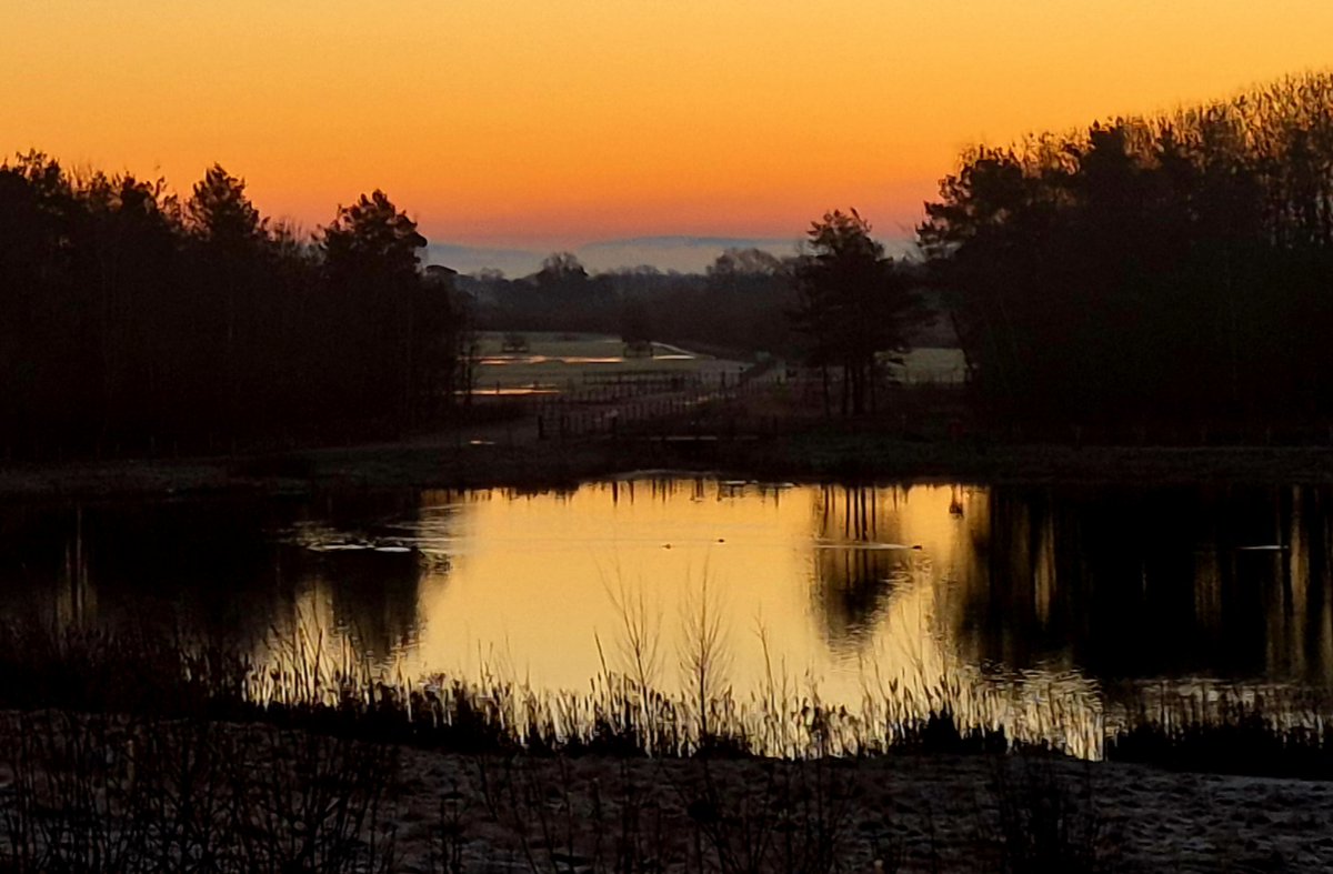 Sheriff Rick Grimes, Richmondshire County🇬🇧🤠⭐️ tweet media