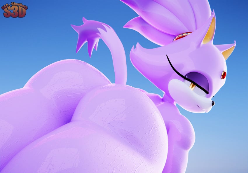 Blaze the Cat tweet media