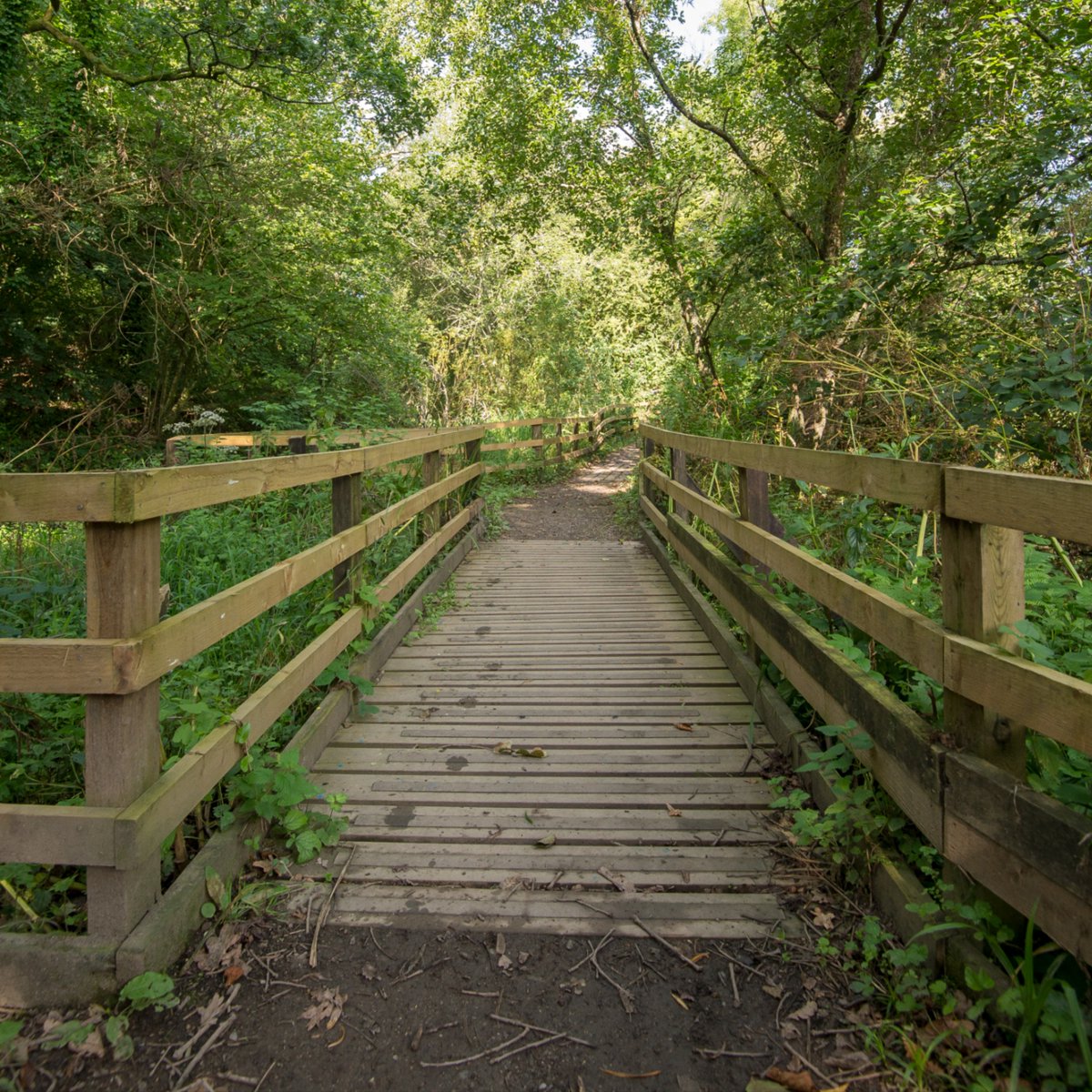 Plymotion tweet media