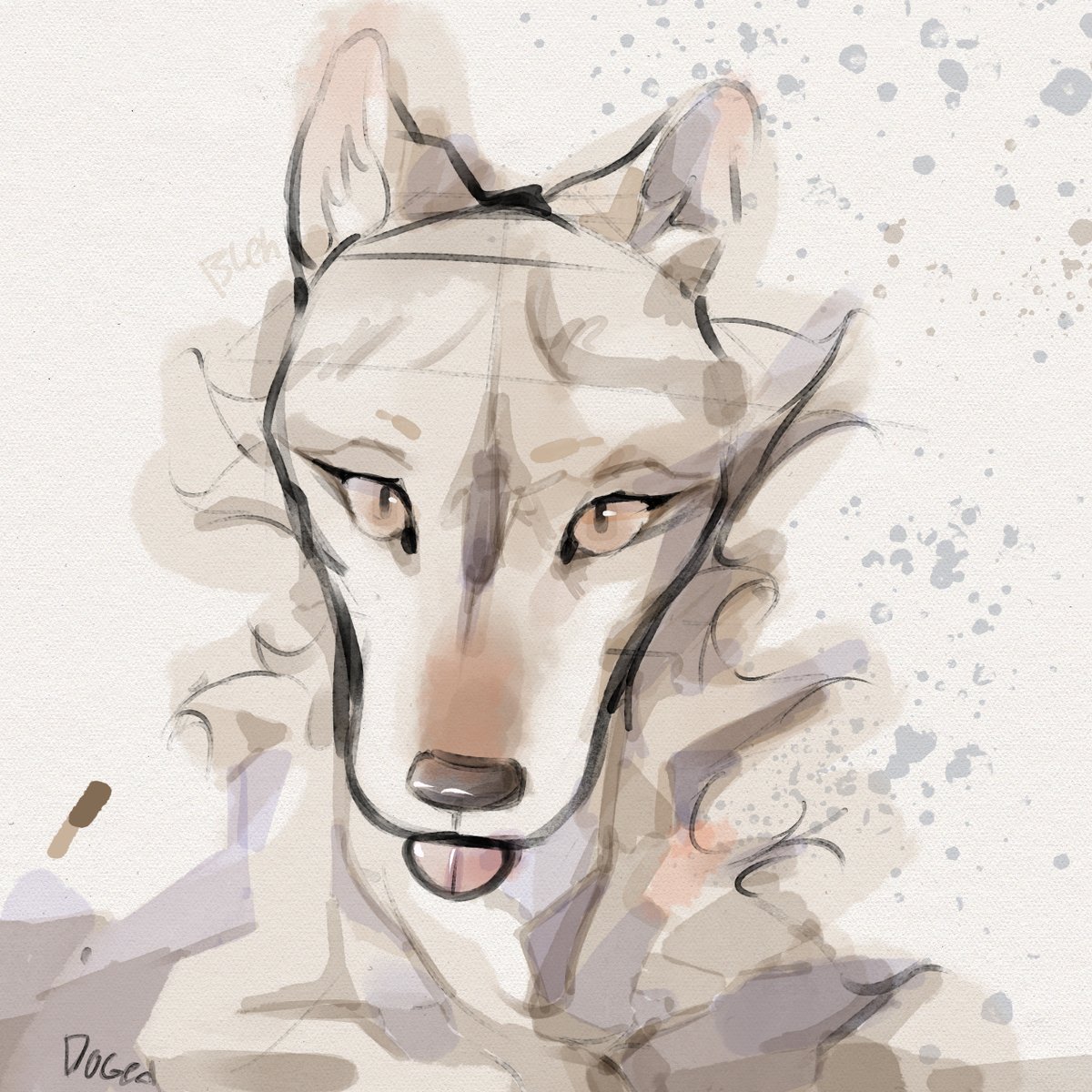 Doged (not that doge) tweet media