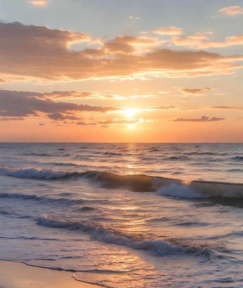 Lisa🌺 tweet media