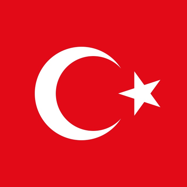fofik tweet media