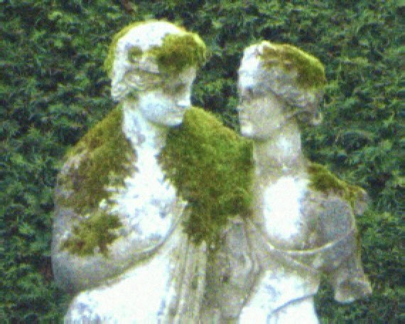 1. 날개는 위험하니 떼어 주십시오. 

2. 심장이 바닥에 떨어져 있다면 
제자리로 돌려놓으십시오.

3. 이끼가 자란 천사를 보았다면 
조용히 눈을 감으십시오.

4. 냉기가 흐르는 소리가 들리면 
아직 괜찮습니다.

5.만약 아무 소리도 들리지 않는다면,
당신의 심장이 사용될 차례입니다.