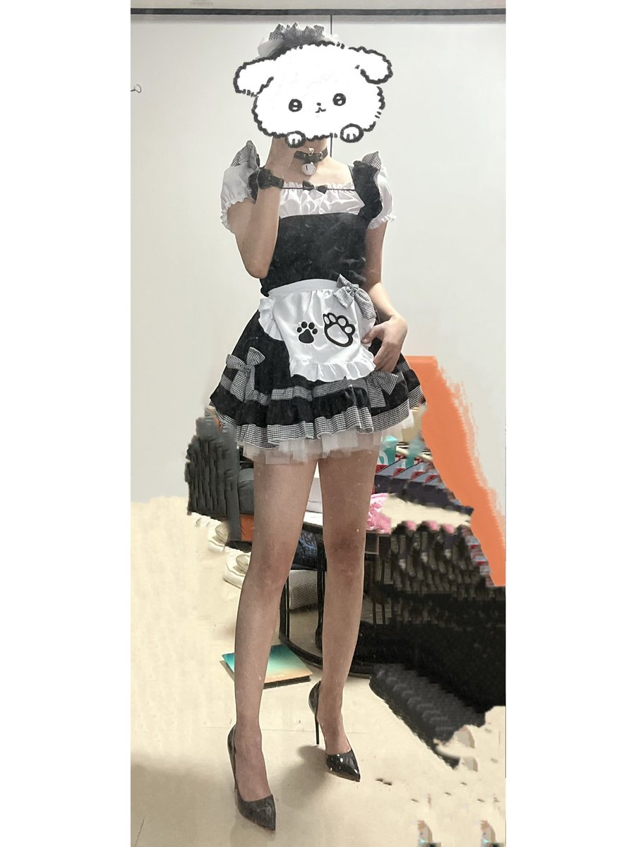 菌🍄菇 tweet media