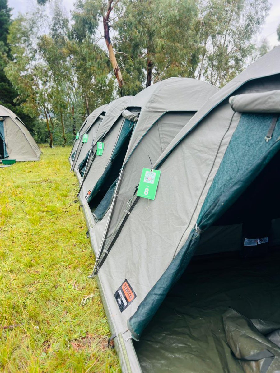 Matamane tweet media