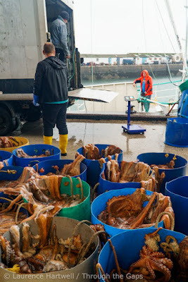 Fishing News Live tweet media