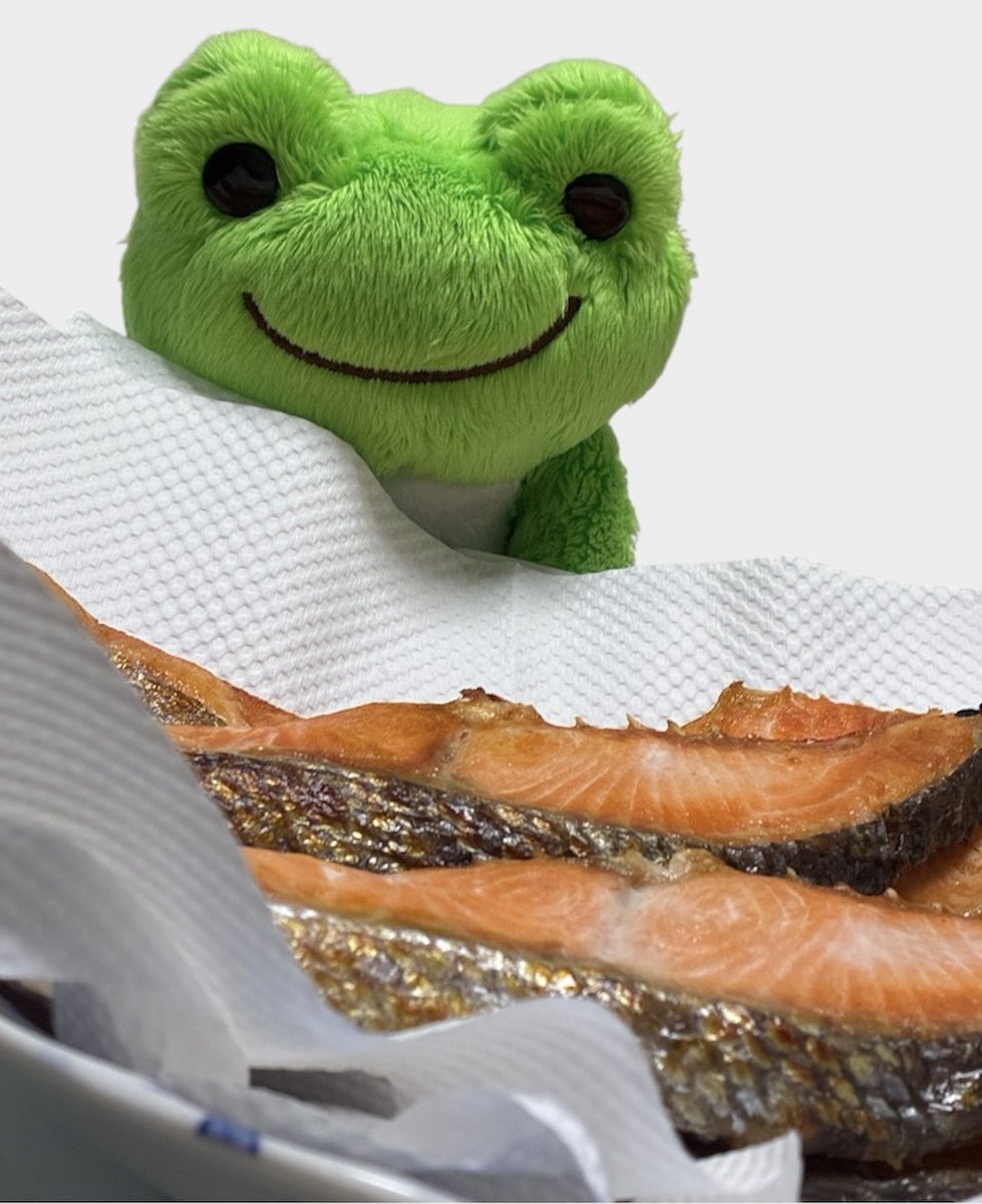 シャケだ〜！！