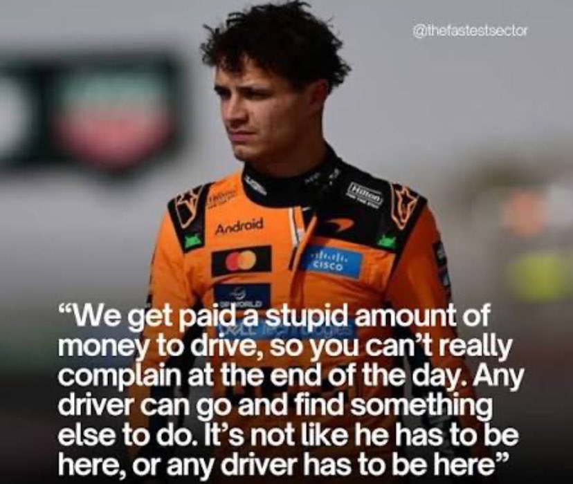 Dan Collins tweet media